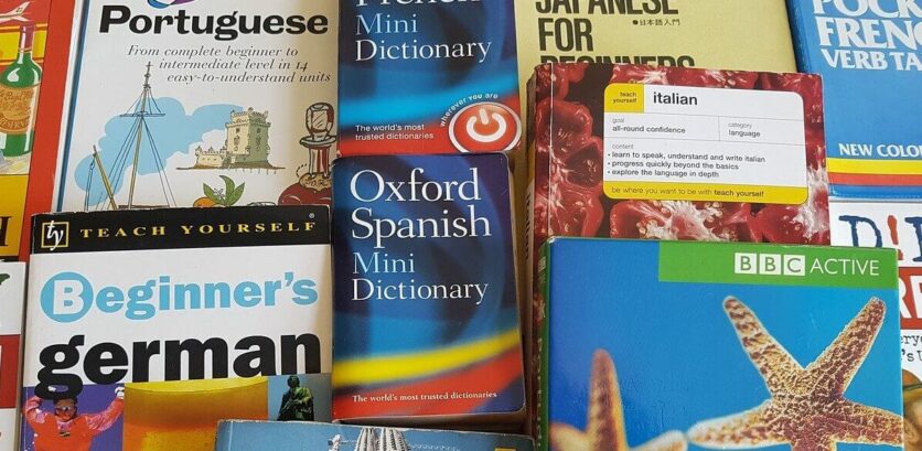 Wörterbücher für den Beruf des Übersetzers